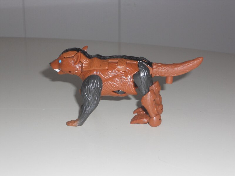 Image Of Core Class Tasmania Kid In Hand From Transformers Legacy United  (20 of 28)